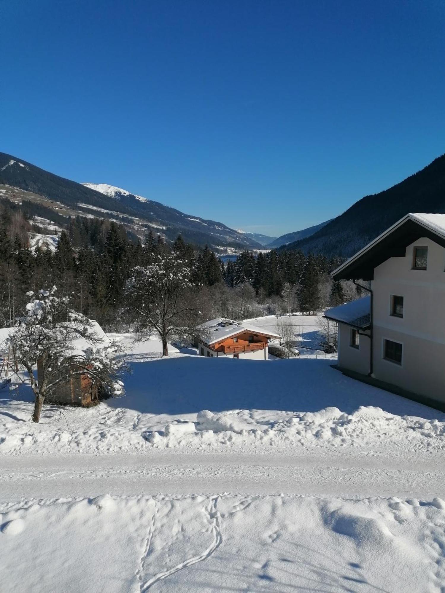 Oberschlassbergbauer Wald im Pinzgau Luaran gambar