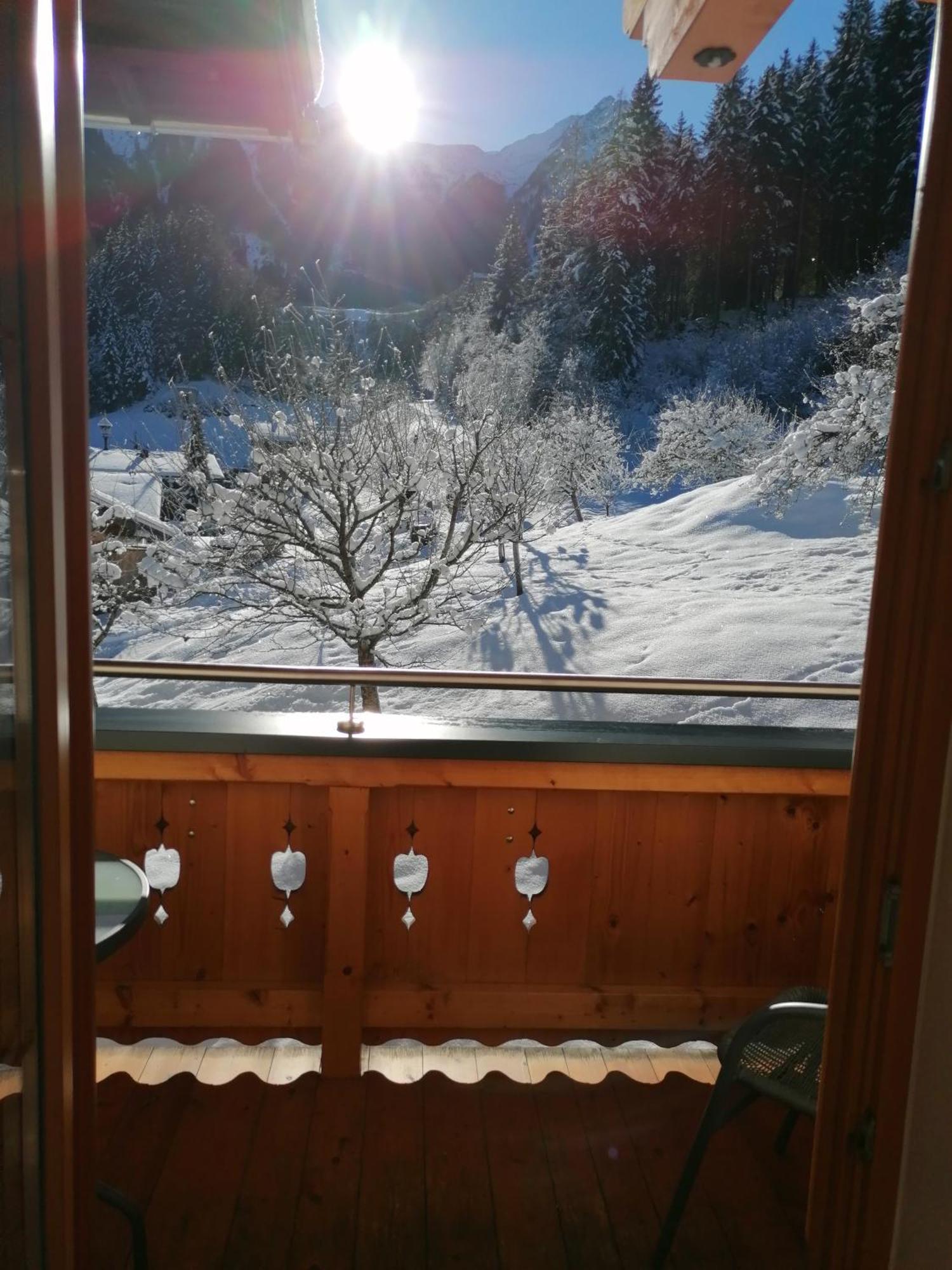 Oberschlassbergbauer Wald im Pinzgau Luaran gambar