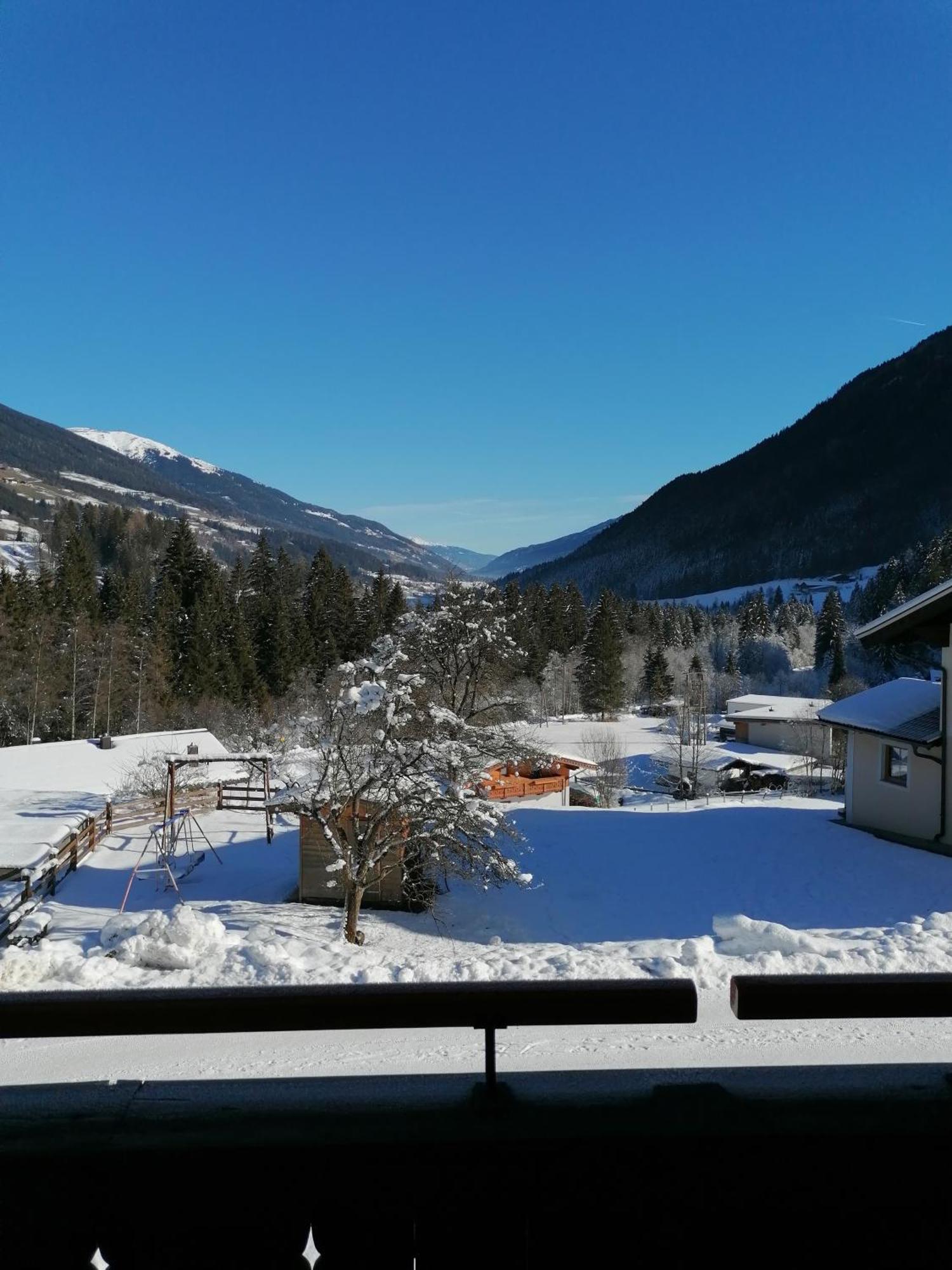 Oberschlassbergbauer Wald im Pinzgau Luaran gambar